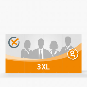 Wahlplakat 3XL